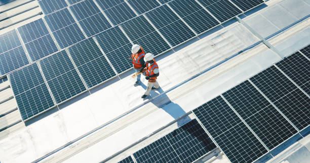 Best Roof Moss and Algae Removal  in Wheeling, IL